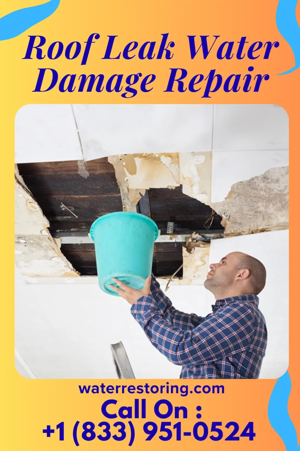 Roof Leak Water Damage Repair in Three Forks, MT